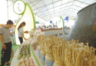 規(guī)模大、檔次高、印象深 打造邢臺(tái)農(nóng)產(chǎn)品新形象的“正餐服務(wù)”之道