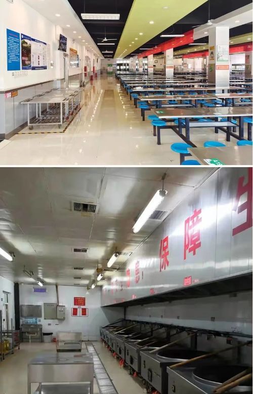 河北邢臺(tái)市創(chuàng)建省級(jí)校園食品安全標(biāo)準(zhǔn)食堂44家，助推正餐服務(wù)再上臺(tái)階
